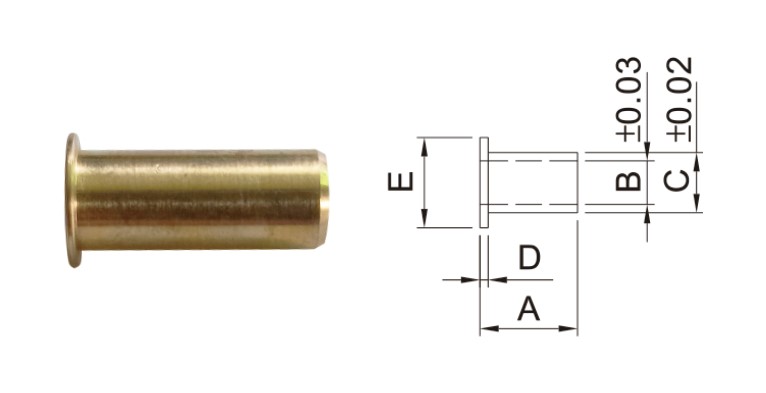 Dimensions de l'IP